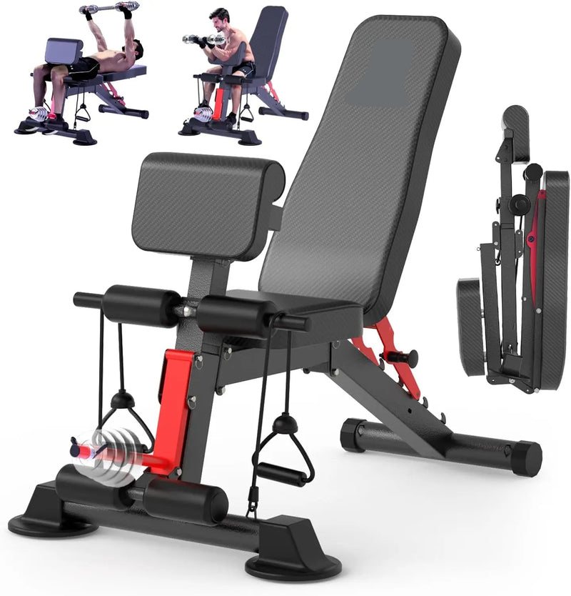 Workout Bench